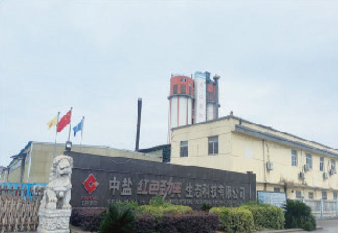 中盐精东视频APP下载入口生态科技有限公司